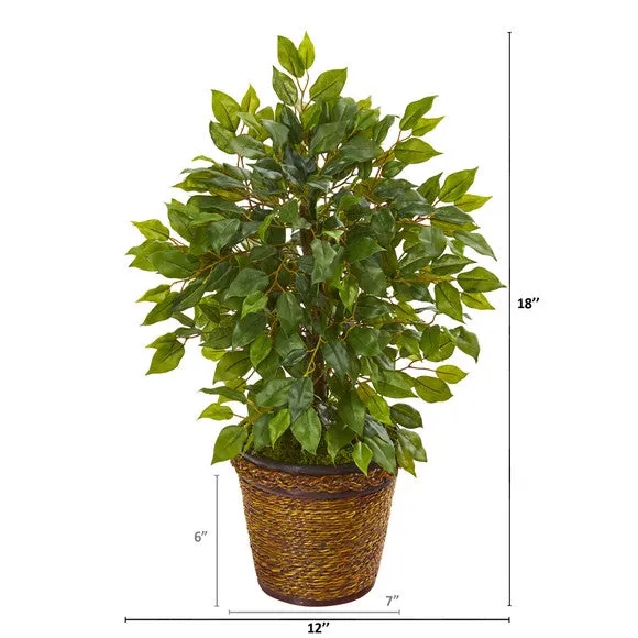 18" Mini Ficus Artificial Tree in Basket