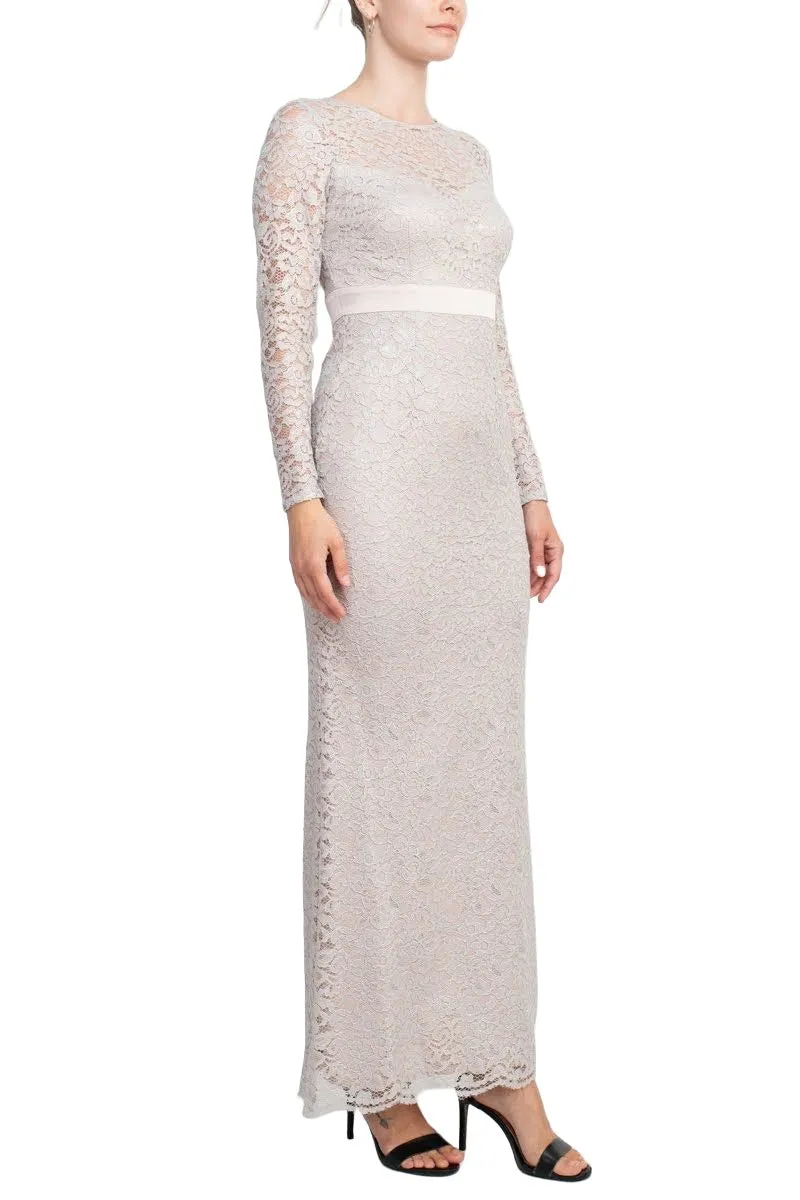 Adrianna Papell Crew Neck Long Sleeve Illusion Embellished Keyhole Zipper Back Lace Dress