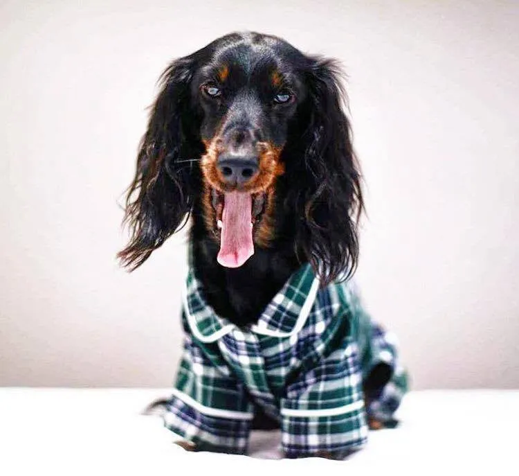 Pajamas - Green Plaid Flannel